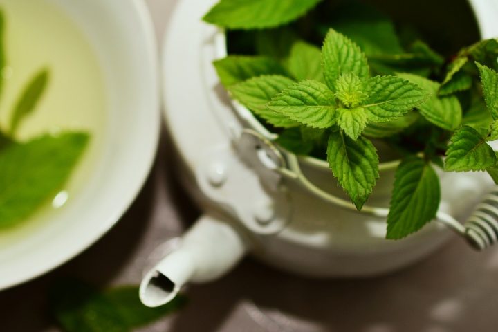 Is Green Tea Better Than White Tea